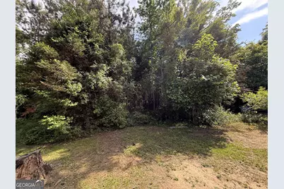 406 Mt Zion Road, Bonaire, GA 31005 - Photo 55