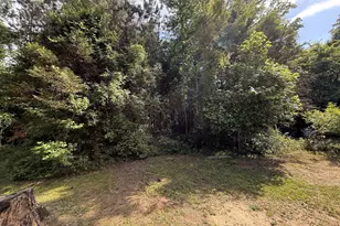 406 Mt Zion Rd, Bonaire, GA 31005 - Photo 55