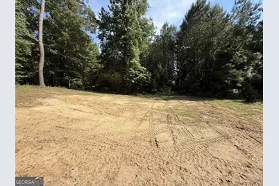 406 Mt Zion Rd, Bonaire, GA 31005 - Photo 61
