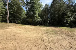 406 Mt Zion Rd, Bonaire, GA 31005 - Photo 61