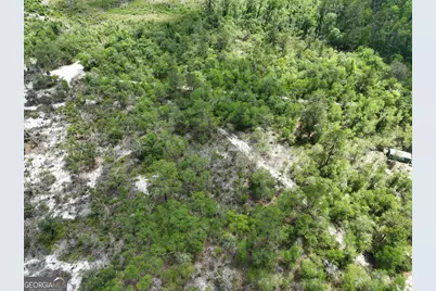 8 Old Highway 46   (24.84 Ac), Twin City, GA 30471 - Photo 7
