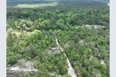 8 Old Highway 46   (24.84 Ac), Twin City, GA 30471 - Photo 9