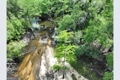8 Old Highway 46   (24.84 Ac), Twin City, GA 30471 - Photo 23