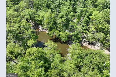 8 Old Highway 46   (24.84 Ac), Twin City, GA 30471 - Photo 17