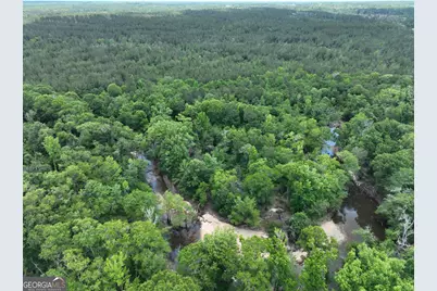 8 Old Highway 46   (24.84 Ac), Twin City, GA 30471 - Photo 19