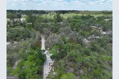 8 Old Highway 46   (24.84 Ac), Twin City, GA 30471 - Photo 5