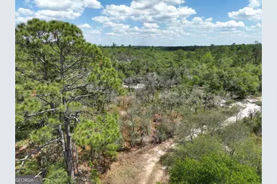 8 Old Highway 46   (24.84 Ac), Twin City, GA 30471 - Photo 3