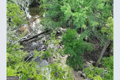 8 Old Highway 46   (24.84 Ac), Twin City, GA 30471 - Photo 21
