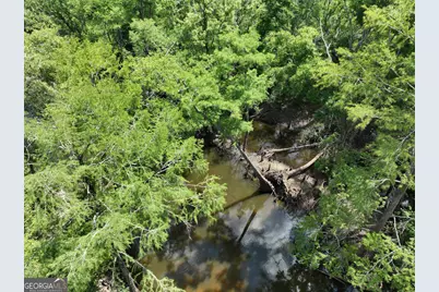 8 Old Highway 46   (24.84 Ac), Twin City, GA 30471 - Photo 25
