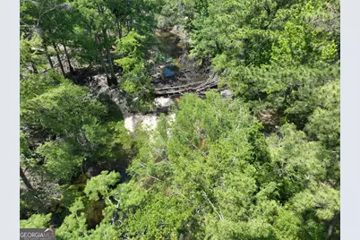 8 Old Highway 46   (24.84 Ac), Twin City, GA 30471 - Photo 15