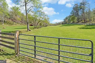 202 Dove Ln, Morganton, GA 30560 - Photo 75
