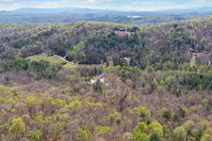 202 Dove Ln, Morganton, GA 30560 - Photo 97