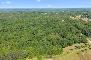 251 Old Stagecoach Rd, Carrollton, GA 30116 - Photo 53