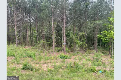 0 Bevis Rd Parcel 9, Franklin, GA 30217 - Photo 3
