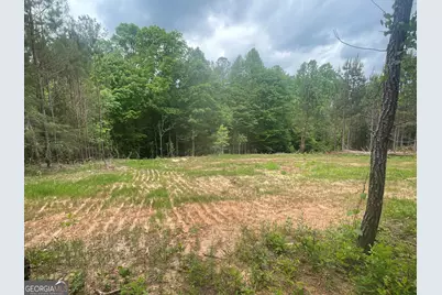 0 Bevis Rd Parcel 9, Franklin, GA 30217 - Photo 1