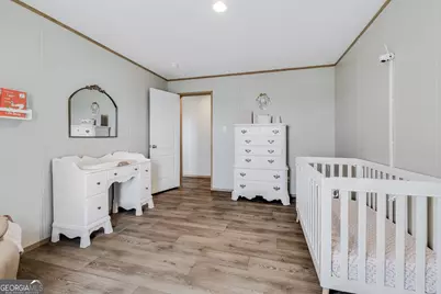 559 Evergreen Church Road, Cobbtown, GA 30420 - Photo 23
