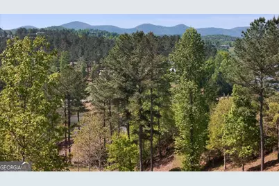 Lot 101 Big Knoll Drive, Blairsville, GA 30512 - Photo 9