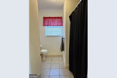 313 Main Street E, Marshallville, GA 31057 - Photo 13
