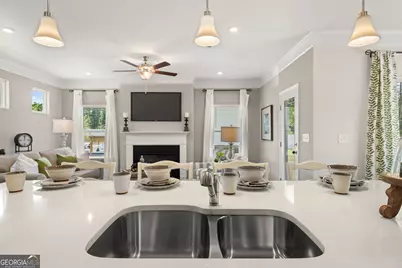 1397 Trellis Court #LOT 15, Hampton, GA 30228 - Photo 9