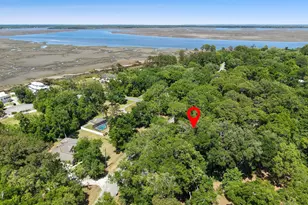 1294 Mush Bluff Rd, Saint Marys, GA 31558 - Photo 45