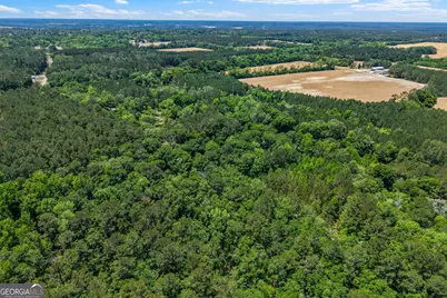 0 Salem Road, Boston, GA 31626 - Photo 7