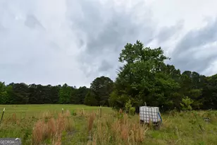 350 Double Bridge Rd, Thomaston, GA 30286 - Photo 51