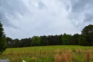 350 Double Bridge Rd, Thomaston, GA 30286 - Photo 49