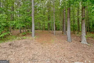 138 Magnolia Pl Dr, Senoia, GA 30276 - Photo 49