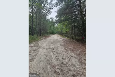 3780 Maria Sorrell Road, Statesboro, GA 30461 - Photo 9