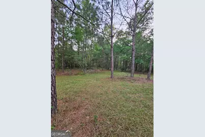 3780 Maria Sorrell Road, Statesboro, GA 30461 - Photo 5