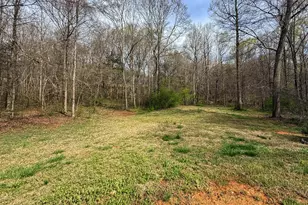 1492 Hwy 198, Carnesville, GA 30521 - Photo 21