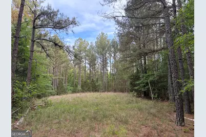 0 Get-A-Way Lane, Carlton, GA 30627 - Photo 3