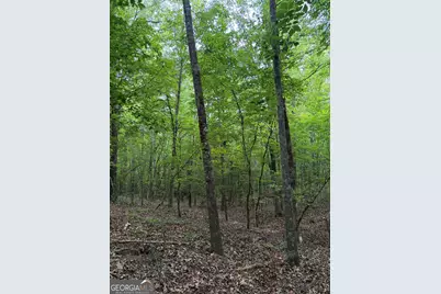 0 Get-A-Way Lane, Carlton, GA 30627 - Photo 5