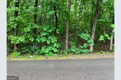 0 Lake Club Drive, Lavonia, GA 30553 - Photo 7