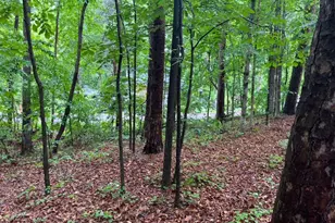 0 Lake Club Dr, Lavonia, GA 30553 - Photo 1