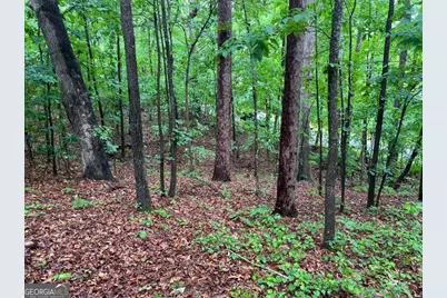 0 Lake Club Drive, Lavonia, GA 30553 - Photo 5