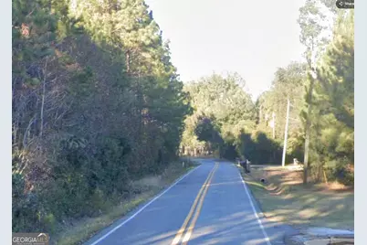 1.52 Acres Mt Pleasant Road, Clyo, GA 31303 - Photo 3