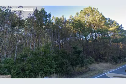 1.52 Acres Mt Pleasant Road, Clyo, GA 31303 - Photo 5