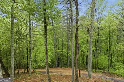 458 Almond Circle, Ellijay, GA 30540 - Photo 29