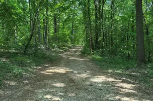 780 Bellamy Rd, Lula, GA 30554 - Photo 25