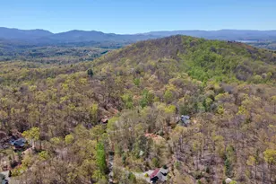 455 Shepherds Walk, Morganton, GA 30560 - Photo 39