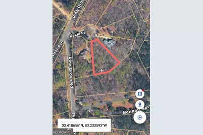 1011 Kakie Place, Greensboro, GA 30642 - Photo 5