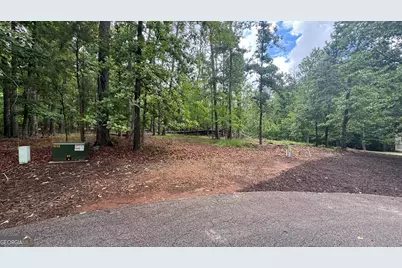 1011 Kakie Place, Greensboro, GA 30642 - Photo 3