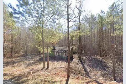 6204 Highway 72 E, Carlton, GA 30627 - Photo 1