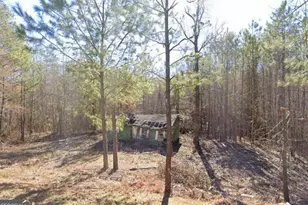 6204 Hwy 72 E, Carlton, GA 30627 - Photo 1