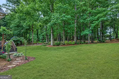 245 Ryans Court, Sharpsburg, GA 30277 - Photo 51