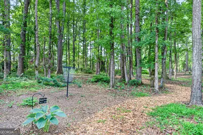 245 Ryans Court, Sharpsburg, GA 30277 - Photo 49