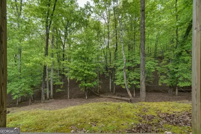 165 Pelican Drive, Ellijay, GA 30540 - Photo 39