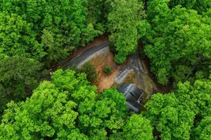 165 Pelican Dr, Ellijay, GA 30540 - Photo 45