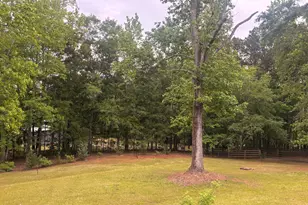 1110 Old Driver Rd, Whitesburg, GA 30185 - Photo 29